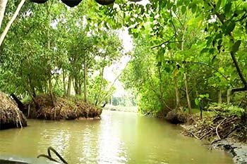 Poovar back Water